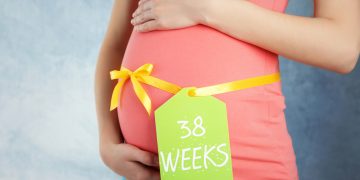 Para la semana 38, su bebé tiene el tamaño de un tallo de ruibarbo.