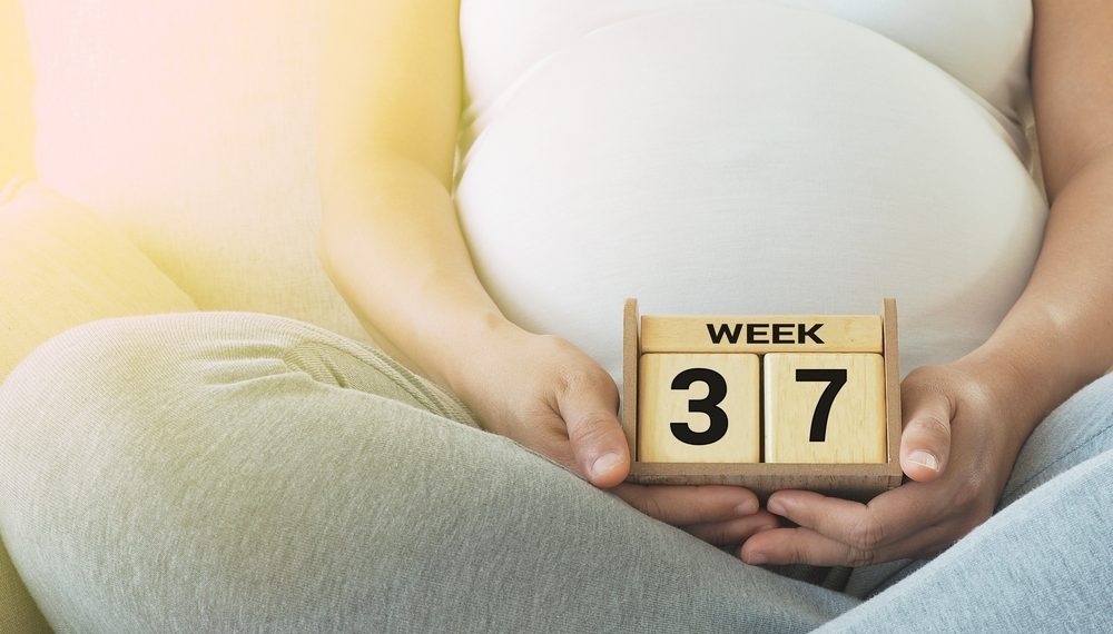 Tu bebé ahora tiene el tamaño de un tallo de acelga