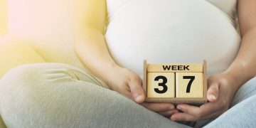 Tu bebé ahora tiene el tamaño de un tallo de acelga