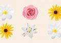 Los nombres de bebés de flores más populares del siglo pasado.