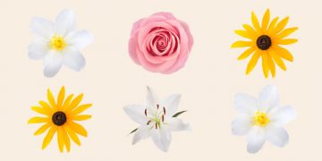 Los nombres de bebés de flores más populares del siglo pasado.