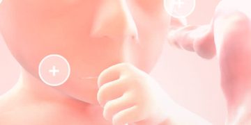 Una nueva mirada en 3D a lo grande que es el bebé