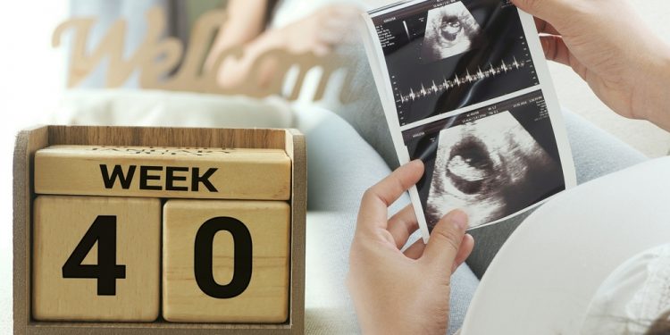 your baby is the size of a watermelon at 40 weeks!