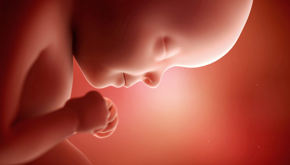 ¡A las 29 semanas su bebé es del tamaño de una calabaza!