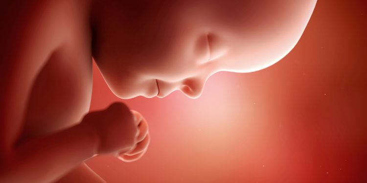 ¡A las 29 semanas su bebé es del tamaño de una calabaza!