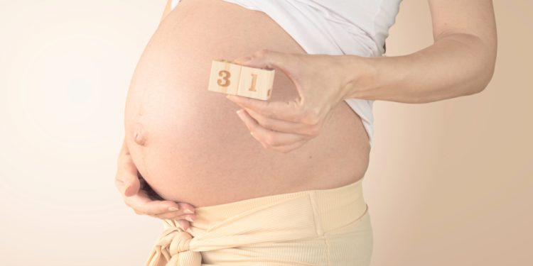 ¡Tu bebé ahora tiene el tamaño de un puñado de puerros!