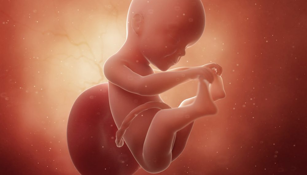 ¡Tu bebé ahora tiene el tamaño de una calabaza de bellota!