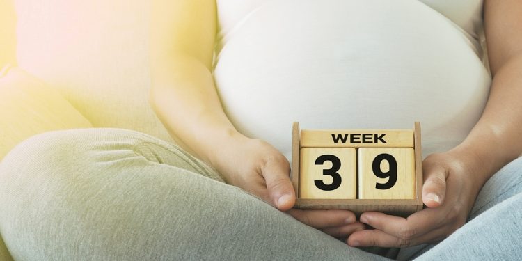 ¡Tu pequeño munchkin ahora es del tamaño de una calabaza!