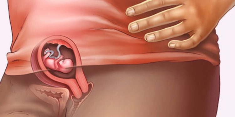 Semana 8 de embarazo