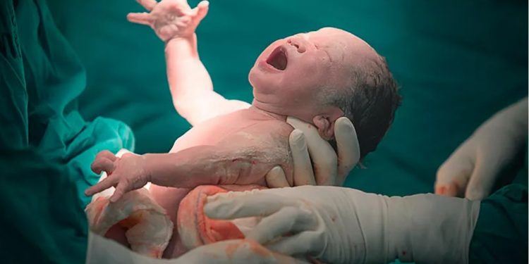 Del supuesto ‘baby boom’ al ‘baby bust’: los expertos pronostican una fuerte caída de la natalidad en el mundo