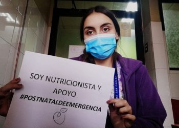 Comisión de Mujeres de la Cámara Baja aprueba proyecto que extiende postnatal de emergencia