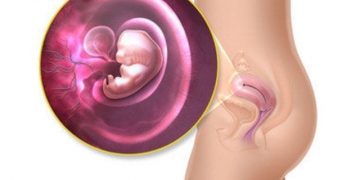 Semana 7 de embarazo