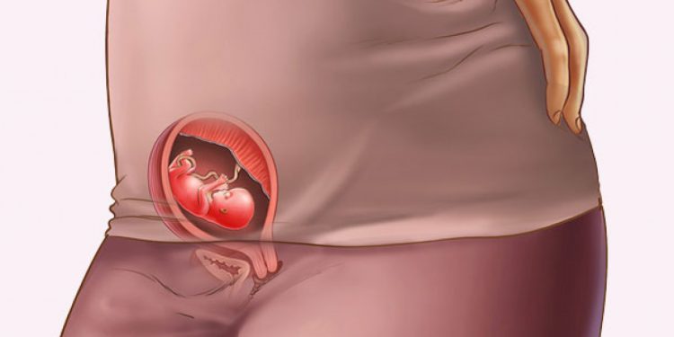 Semana 11 de embarazo