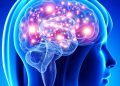 Neuromarketing: La «maravilla» del cerebro de una madre
