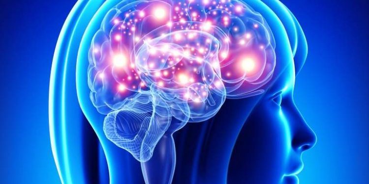 Neuromarketing: La «maravilla» del cerebro de una madre