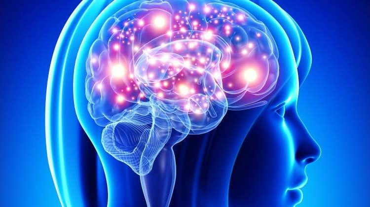 Neuromarketing: La «maravilla» del cerebro de una madre